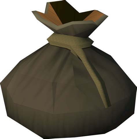 The Rune Pouch and its Impact on Magic Training in Runescape
